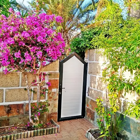 Casa Sarita Chayofa